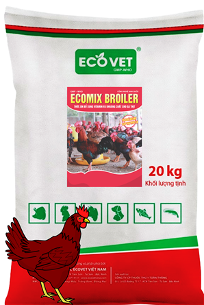 Ecomix Broiler - Thức ăn bổ sung vitamin và khoáng chất cho gà thịt